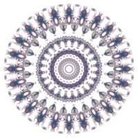 Circle floral pattern png