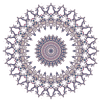 Circle floral pattern png