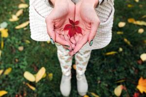 hojas de otoño en manos de niña foto