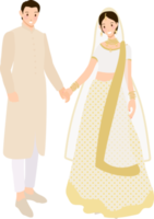 bellissimo indiano coppia sposa e sposo nel tradizionale nozze sari vestito png