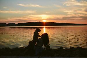 Girl and dog on the lake photo