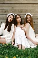 Three charming girls  near a wooden house photo