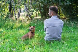 Young European man sitting on grass with his dog in park. Concept of human and pet relationship. photo