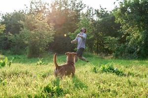 Small funny dog is playing with his owner in summer park. photo