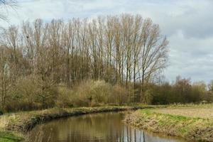 The river Aa near borken in germany photo