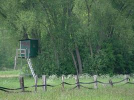 hiking in westphalia near duelmen photo