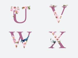hermoso alfabeto con mano dibujada de flor de cerezo vector