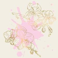 Vector flower of orchid. Ink illustration isolated.