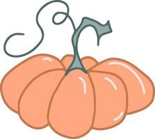 pumpkin vegetable vector hand drawn illustration seasonal autumn harvest