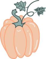 calabaza vegetal vector dibujado a mano ilustración estacional otoño cosecha