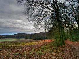 hiking near reken in the german muensterland photo