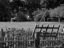 the german muensterland photo