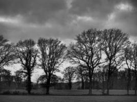 the german muensterland photo