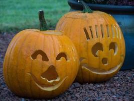 many pumpkins in the garden photo