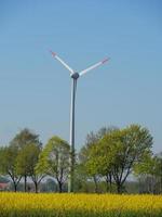 spring time near Stadtlohn in germany photo