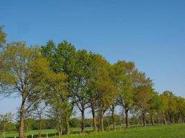 hiking near reken in the german muensterland photo