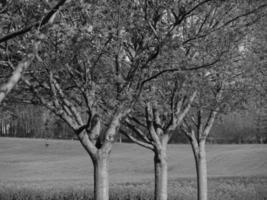 Westphalian landscape near Billerbeck photo