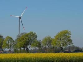 spring time near Stadtlohn in germany photo