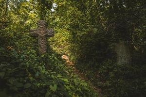 Gravestones in cemetery, Arnos Vale Cemetery photo