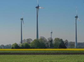 spring time near Stadtlohn in germany photo