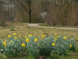 at the lake near borken photo