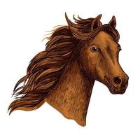 hermosa cabeza de caballo marrón árabe vector