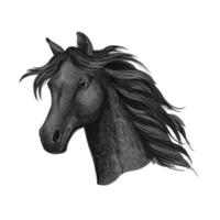 Black raven horse head portrait vector