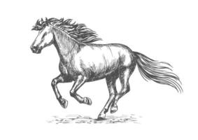 White strong horse galloping on sport races vector
