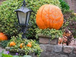 calabazas en un jardín alemán foto