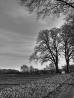 Hiking in the german westphalia photo