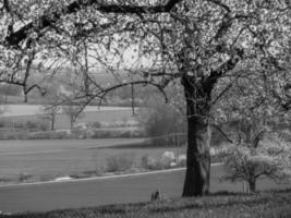 Westphalian landscape near Billerbeck photo