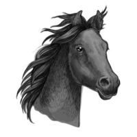 retrato artístico del bosquejo de la cabeza de caballo vector