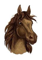 Brown mustang horse artistic portrait