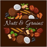 Nuts and grains in round shape emblem vector