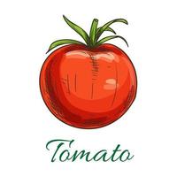 tomate, fruta, vegetal, icono vector