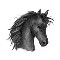 retrato de boceto de cabeza de caballo negro vector