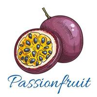 Passion fruit vector color sketch icon