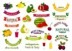 Fruit emblems, ribbons of juice, jam product label vector