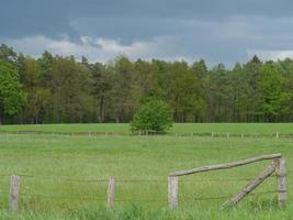 hiking in a forest near ahaus germany photo