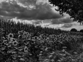 Hiking in the german westphalia photo