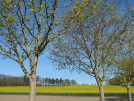 tiempo de primavera en el baumberge alemán foto