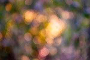 View of the sunset through the leaves in the form of bright bokeh. photo