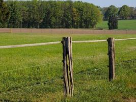 hiking near reken in the german muensterland photo