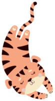 tigre dormido. animales lindos png