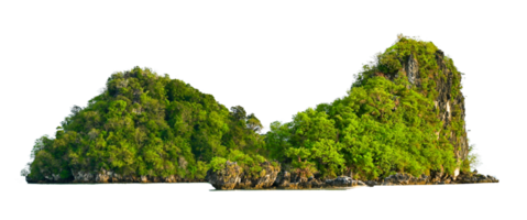 Isolate the island in the middle of the green sea white background separated from the background png