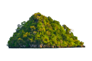 isolare l'isola in mezzo al mare verde sfondo bianco separato dallo sfondo png