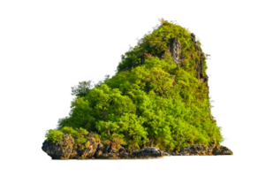Isolate the island in the middle of the green sea white background separated from the background png