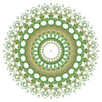 ilustração de mandala de flores png