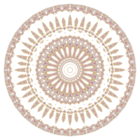 Abstract floral ornament mandala png