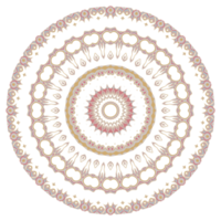 Abstract floral ornament mandala png